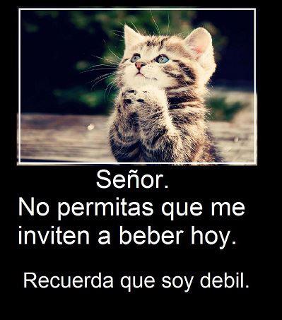 Imagenes para Descargar para Whatsapp Gratis. Para Bajar