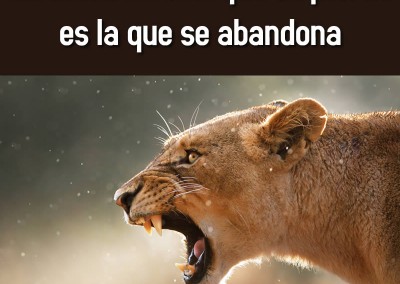 frases-con-animales