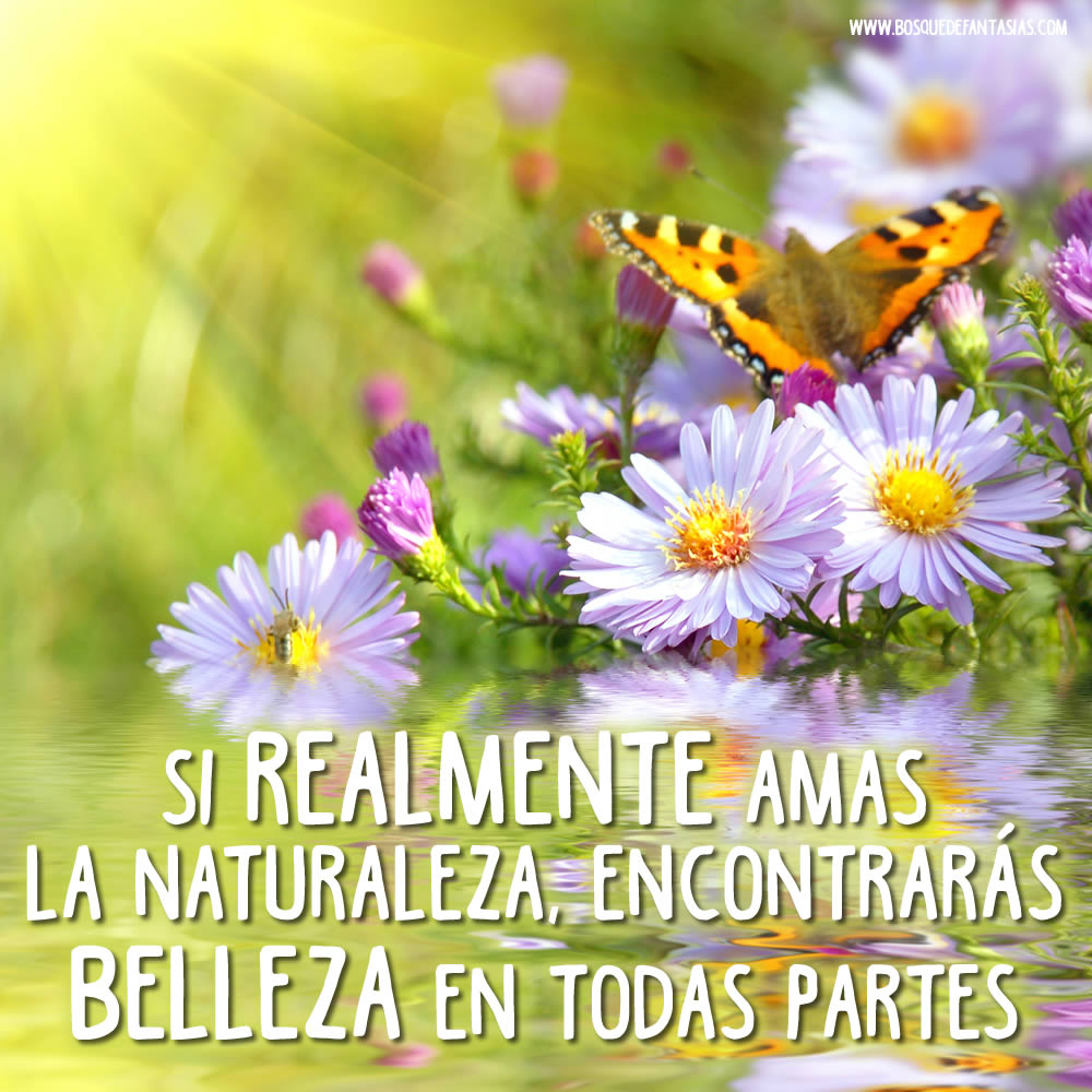 IMÁGENES DE NATURALEZA ® Fotos naturales con frases y citas