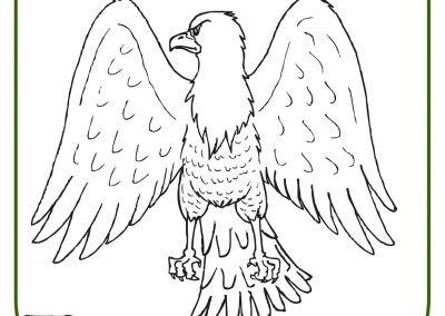 99 Dibujos De Pajaros Y Aves Pajaros Para Colorear Infantiles