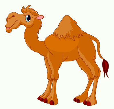 dibujos de camellos para colorear