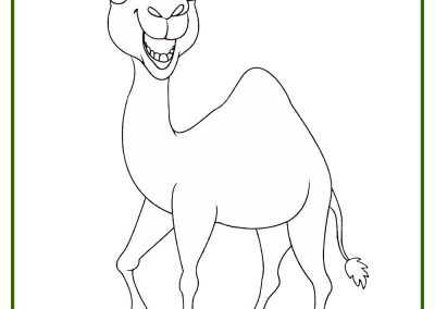 dibujos de camellos para colorear