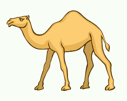 dibujos de camellos para pintar