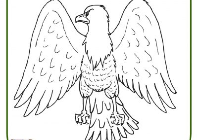 dibujos de águilas para colorear e imprimir