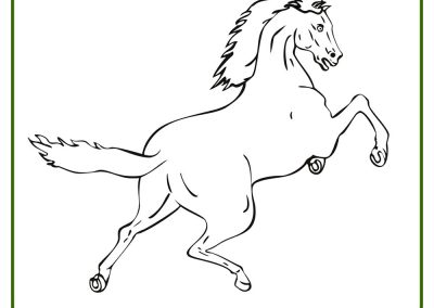 dibujos dificiles para colorear de caballos