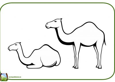 dibujos para colorear de camellos
