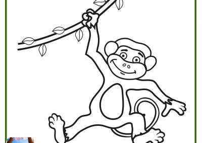 dibujos para colorear de monos