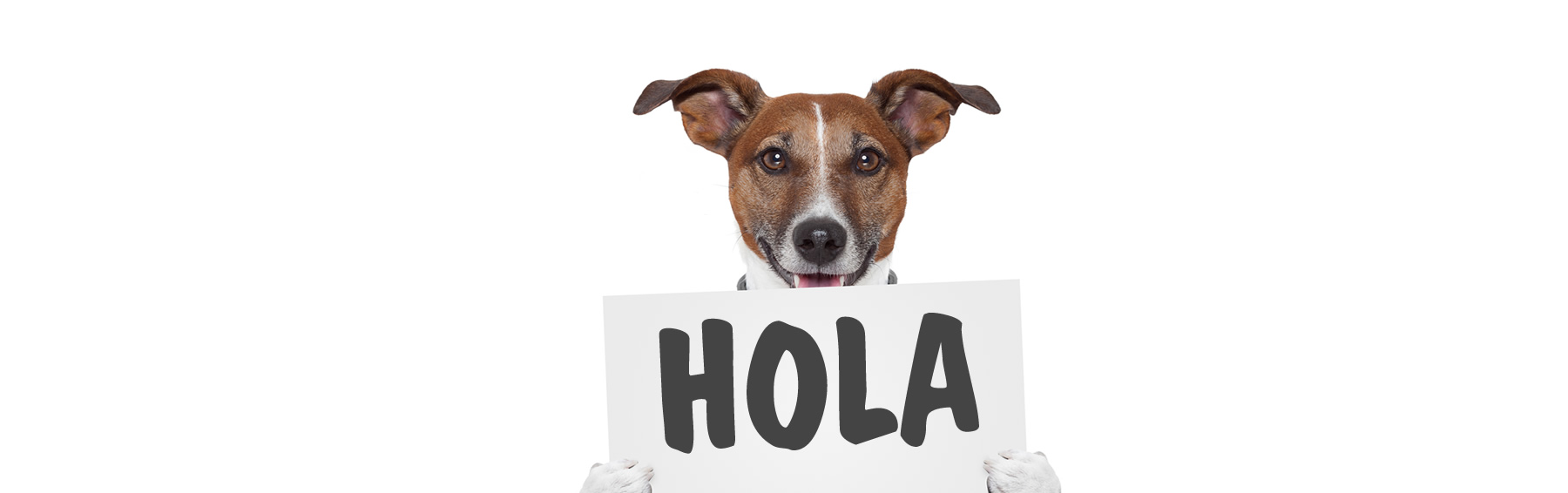 imágenes de hola
