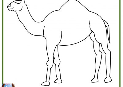 imágenes para colorear de camellos