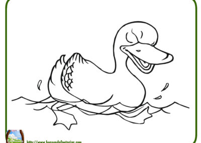 dibujos de patos